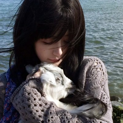 妙贼追凶 海报